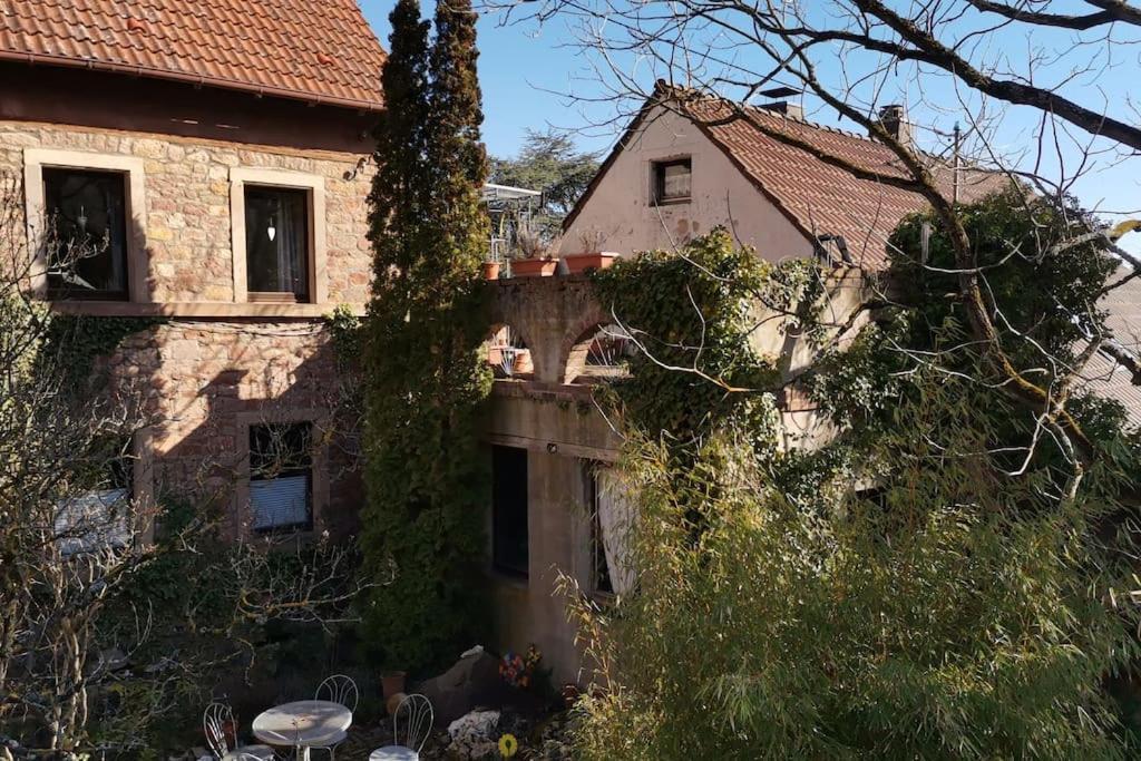 "Casita Linda "Am Donnersberg Vila Dannenfels Exterior foto