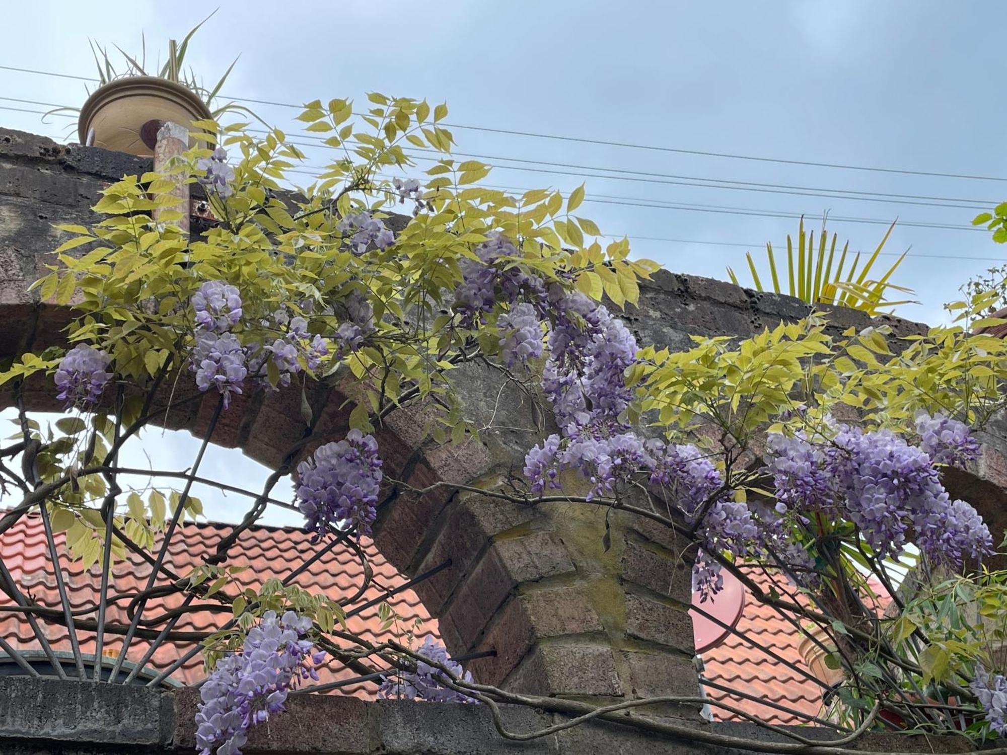 "Casita Linda "Am Donnersberg Vila Dannenfels Exterior foto