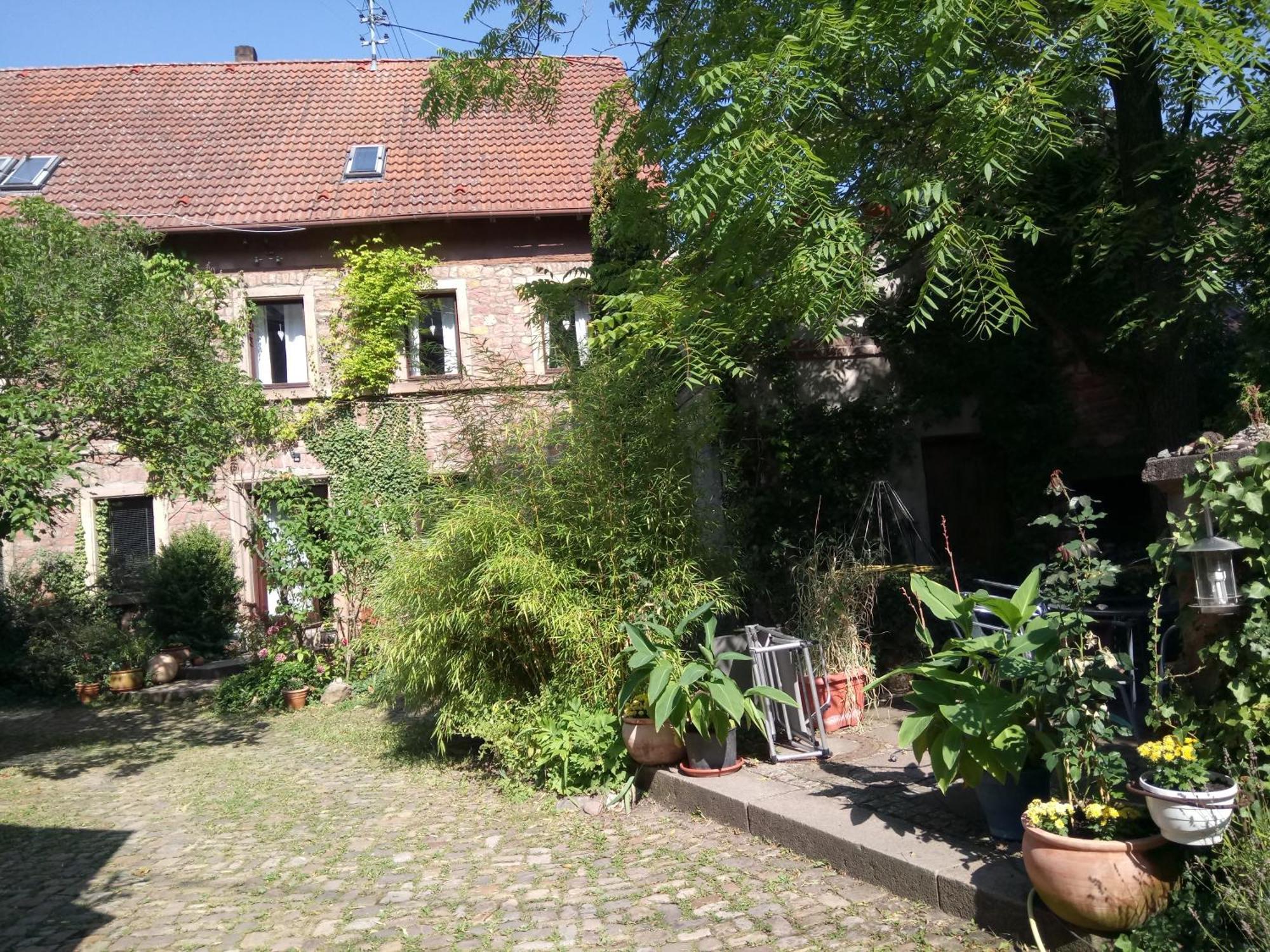 "Casita Linda "Am Donnersberg Vila Dannenfels Exterior foto
